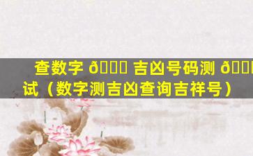 查数字 🐝 吉凶号码测 🐝 试（数字测吉凶查询吉祥号）
